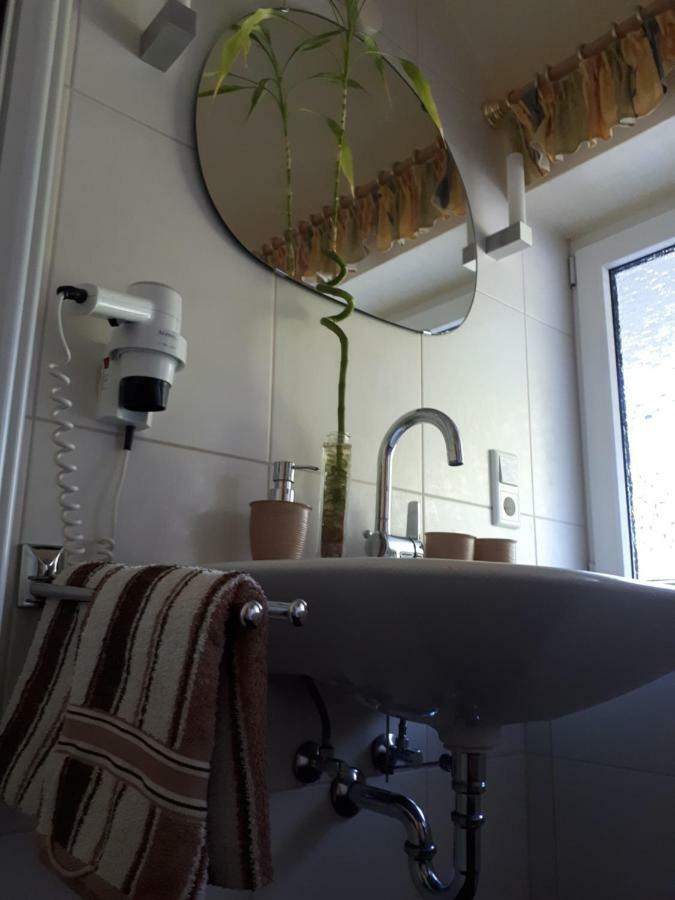 Apartmenthaus Sonnenschein Winterberg Esterno foto